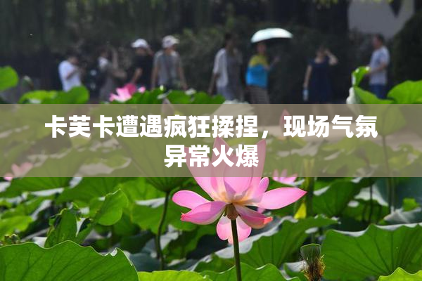 卡芙卡遭遇疯狂揉捏，现场气氛异常火爆