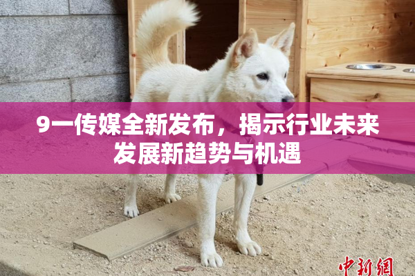 9一传媒全新发布，揭示行业未来发展新趋势与机遇
