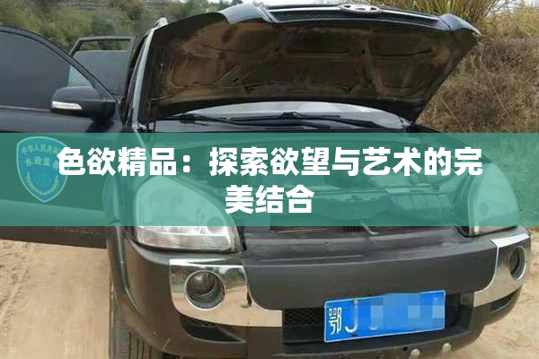 色欲精品：探索欲望与艺术的完美结合