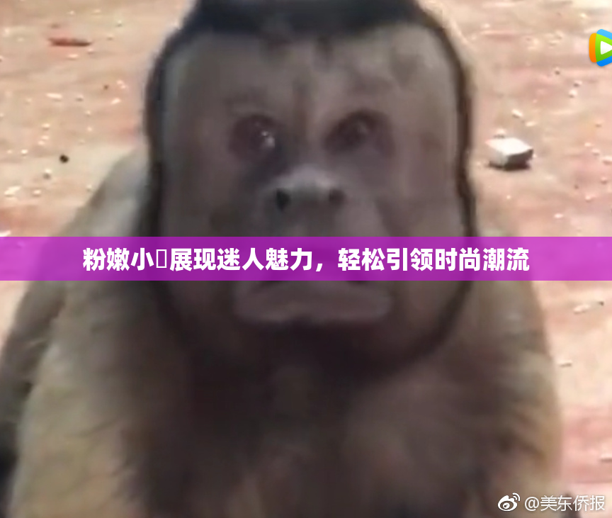 粉嫩小泬展现迷人魅力，轻松引领时尚潮流