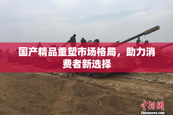 国产精品重塑市场格局，助力消费者新选择