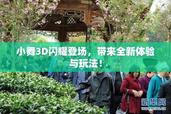 小舞3D闪耀登场，带来全新体验与玩法！