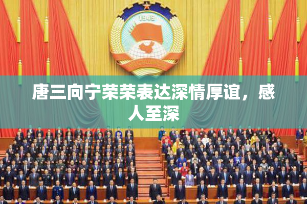 唐三向宁荣荣表达深情厚谊，感人至深