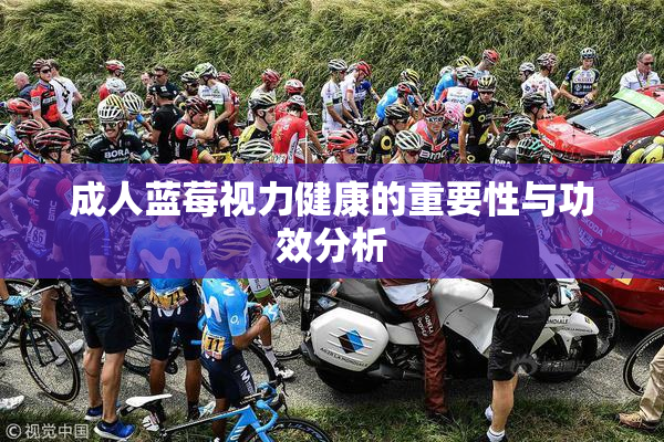 成人蓝莓视力健康的重要性与功效分析