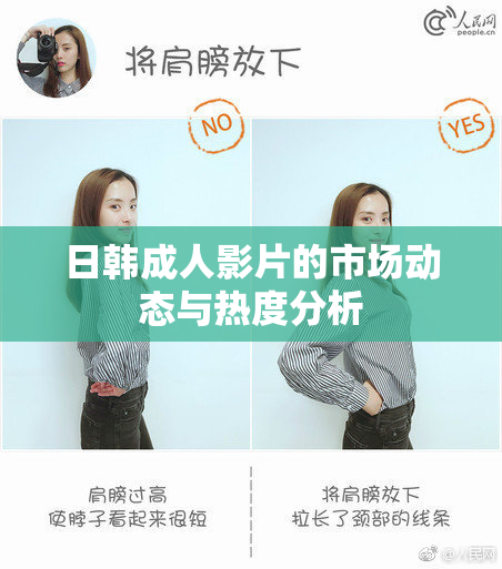 日韩成人影片的市场动态与热度分析