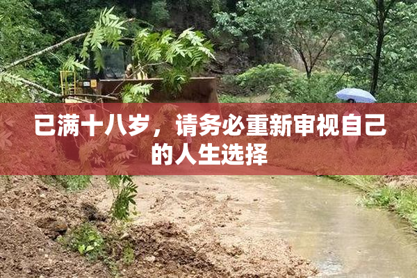 已满十八岁，请务必重新审视自己的人生选择