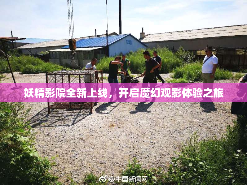 妖精影院全新上线，开启魔幻观影体验之旅