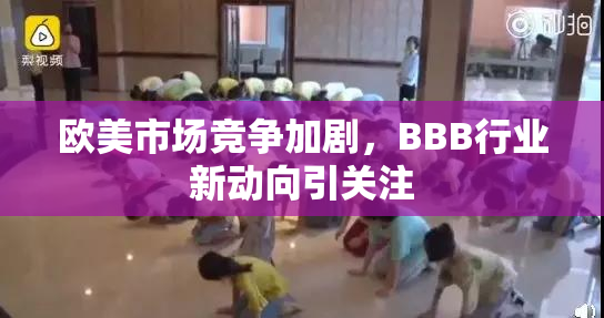 欧美市场竞争加剧，BBB行业新动向引关注