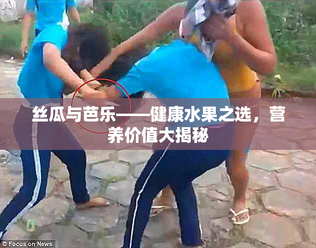 丝瓜与芭乐——健康水果之选，营养价值大揭秘
