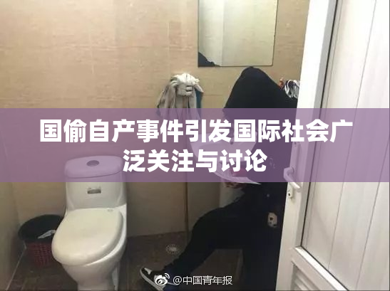 国偷自产事件引发国际社会广泛关注与讨论