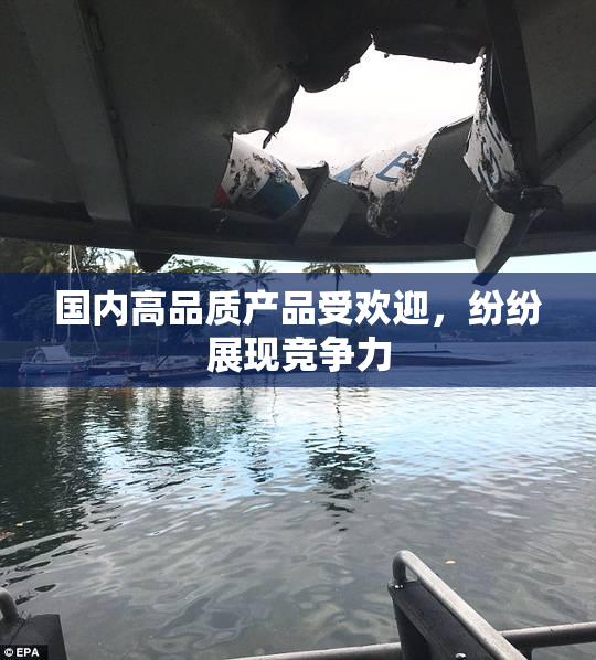国内高品质产品受欢迎，纷纷展现竞争力