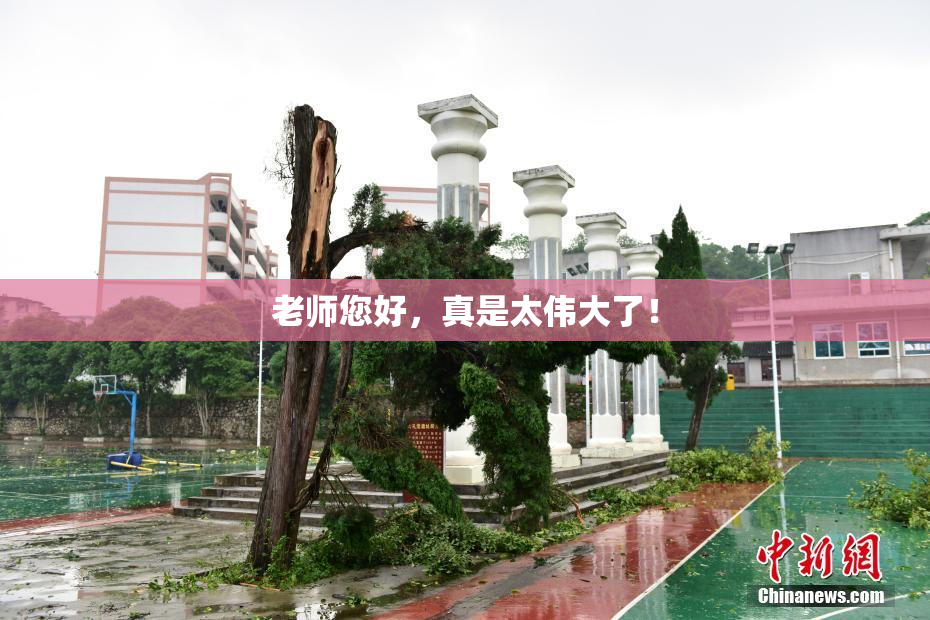 老师您好，真是太伟大了！