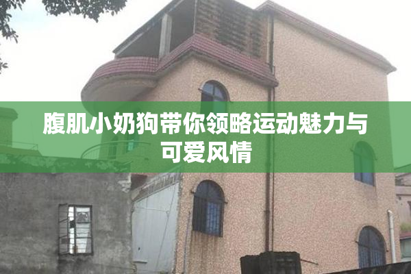 腹肌小奶狗带你领略运动魅力与可爱风情