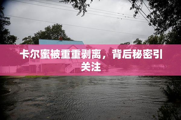 卡尔蜜被重重剥离，背后秘密引关注