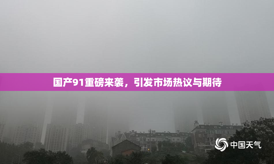 国产91重磅来袭，引发市场热议与期待
