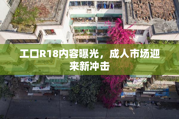 工口R18内容曝光，成人市场迎来新冲击
