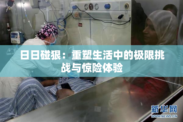 日日碰狠：重塑生活中的极限挑战与惊险体验