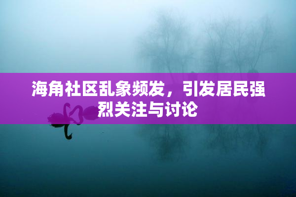 海角社区乱象频发，引发居民强烈关注与讨论