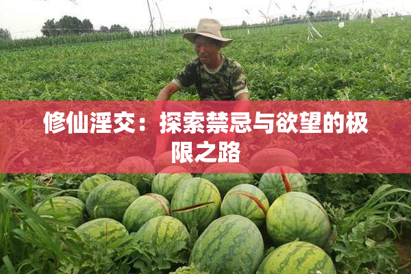 修仙淫交：探索禁忌与欲望的极限之路