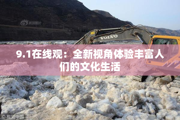 9.1在线观：全新视角体验丰富人们的文化生活