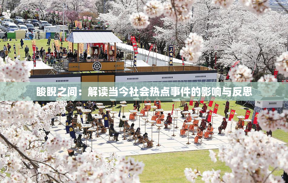 睃睨之间：解读当今社会热点事件的影响与反思