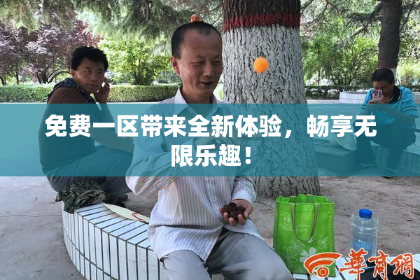 免费一区带来全新体验，畅享无限乐趣！