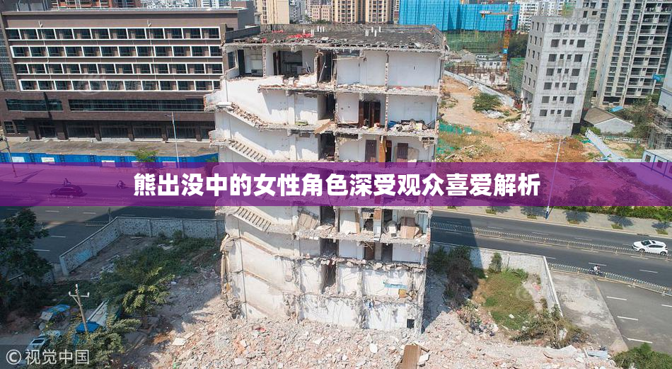 熊出没中的女性角色深受观众喜爱解析
