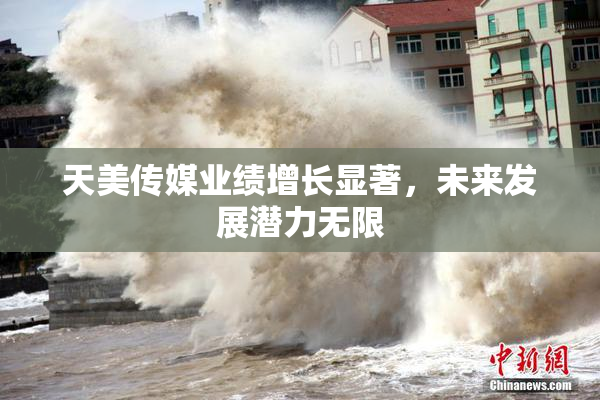 天美传媒业绩增长显著，未来发展潜力无限