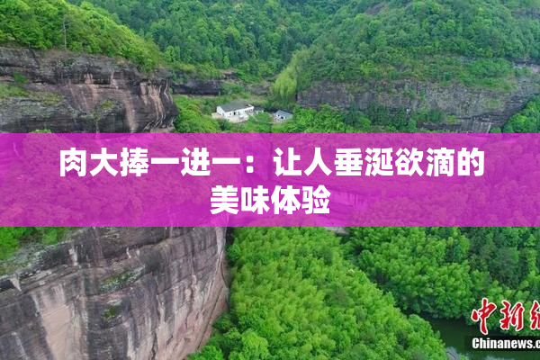 肉大捧一进一：让人垂涎欲滴的美味体验