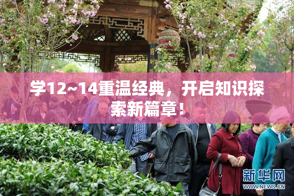 学12~14重温经典，开启知识探索新篇章！