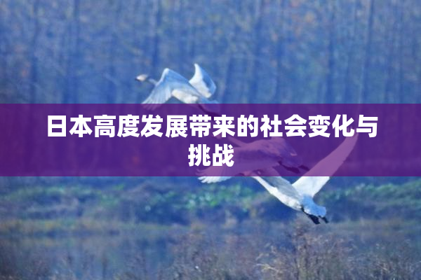 日本高度发展带来的社会变化与挑战