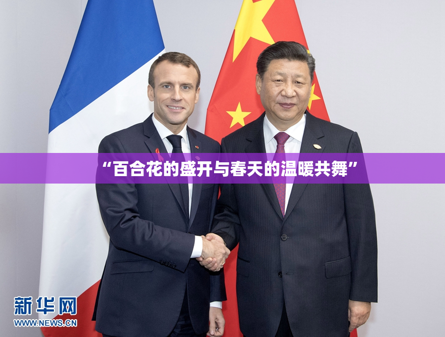“百合花的盛开与春天的温暖共舞”