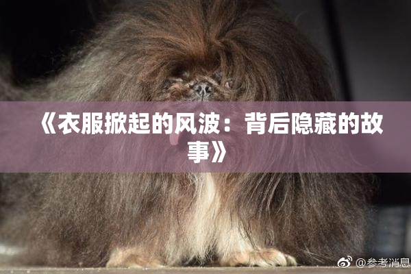 《衣服掀起的风波：背后隐藏的故事》