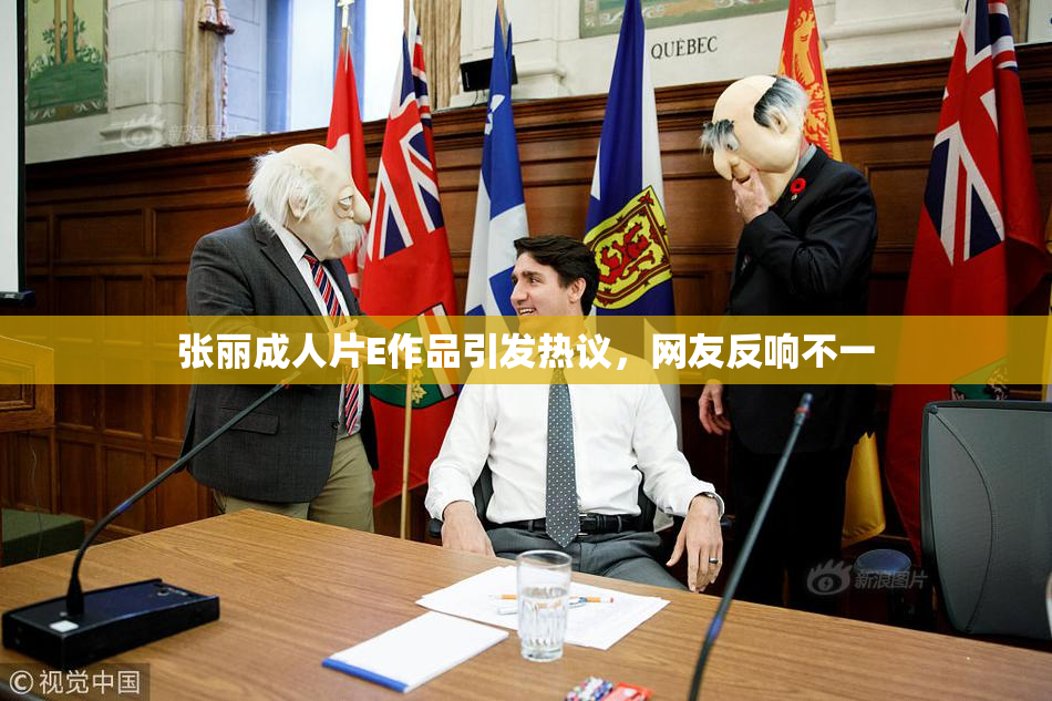 张丽成人片E作品引发热议，网友反响不一