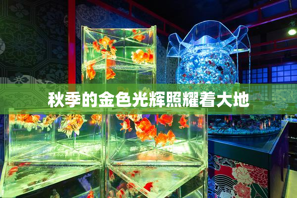 秋季的金色光辉照耀着大地