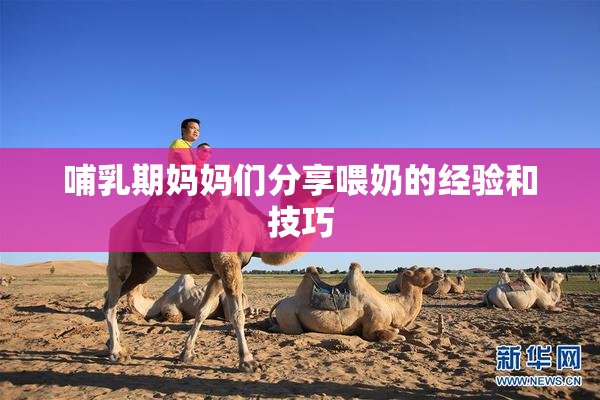 哺乳期妈妈们分享喂奶的经验和技巧