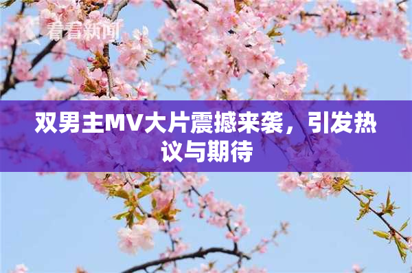 双男主MV大片震撼来袭，引发热议与期待