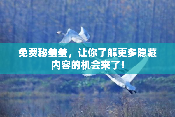 免费秘羞羞，让你了解更多隐藏内容的机会来了！