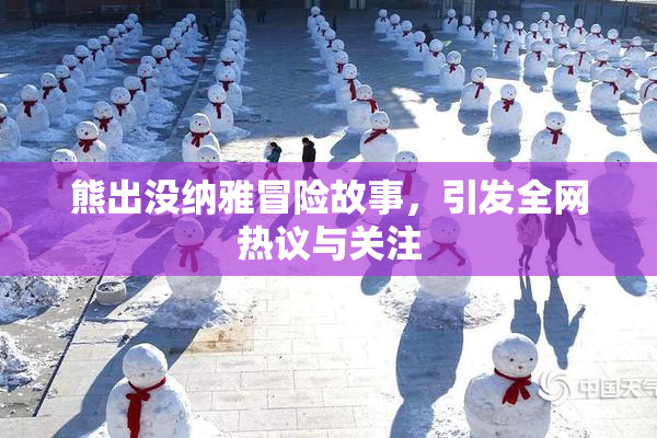 熊出没纳雅冒险故事，引发全网热议与关注