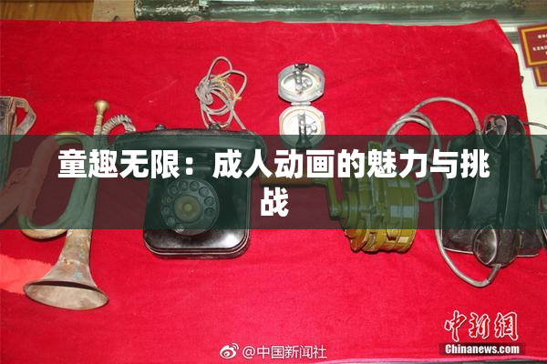童趣无限：成人动画的魅力与挑战