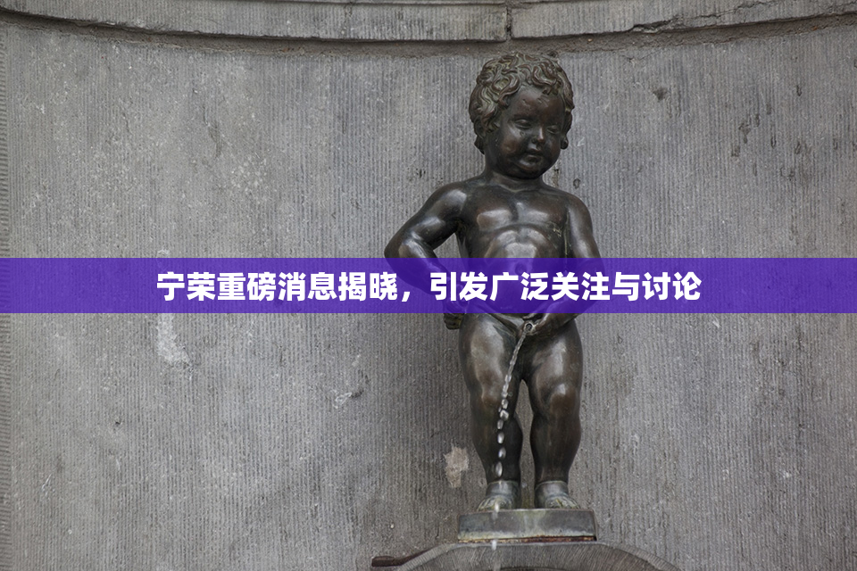 宁荣重磅消息揭晓，引发广泛关注与讨论