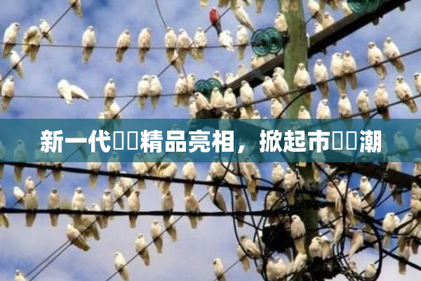 新一代國產精品亮相，掀起市場熱潮