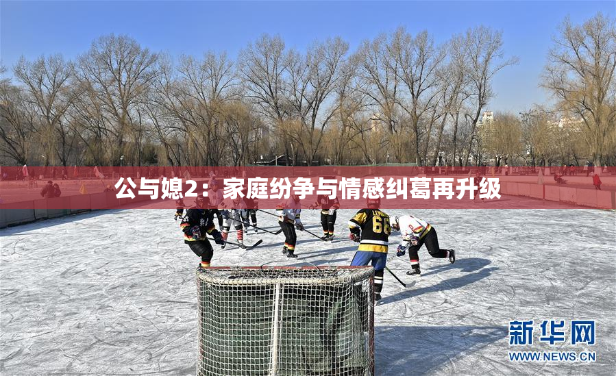 公与媳2：家庭纷争与情感纠葛再升级