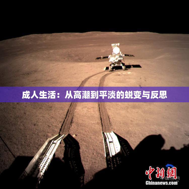 成人生活：从高潮到平淡的蜕变与反思