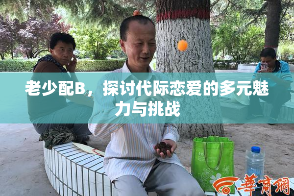老少配B，探讨代际恋爱的多元魅力与挑战