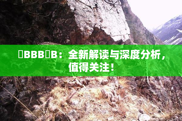嫰BBB槡B：全新解读与深度分析，值得关注！