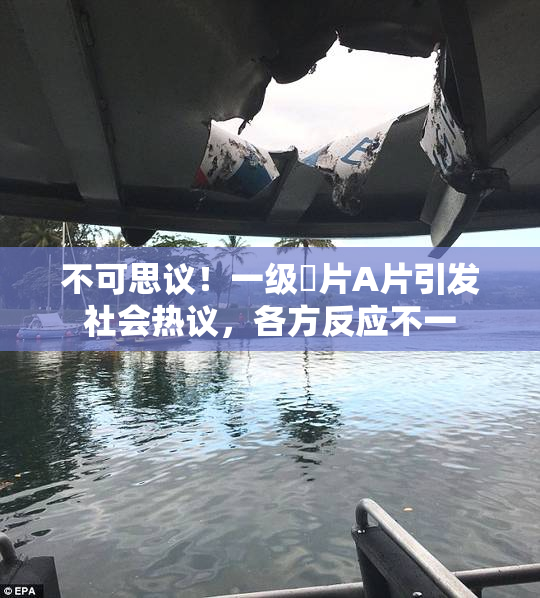 不可思议！一级婬片A片引发社会热议，各方反应不一