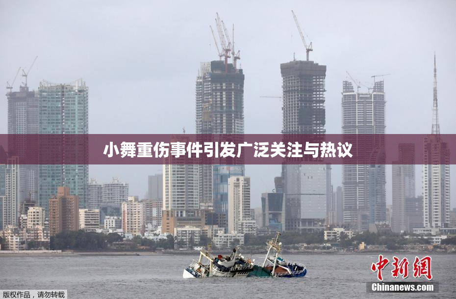 小舞重伤事件引发广泛关注与热议