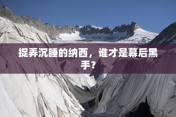 捉弄沉睡的纳西，谁才是幕后黑手？