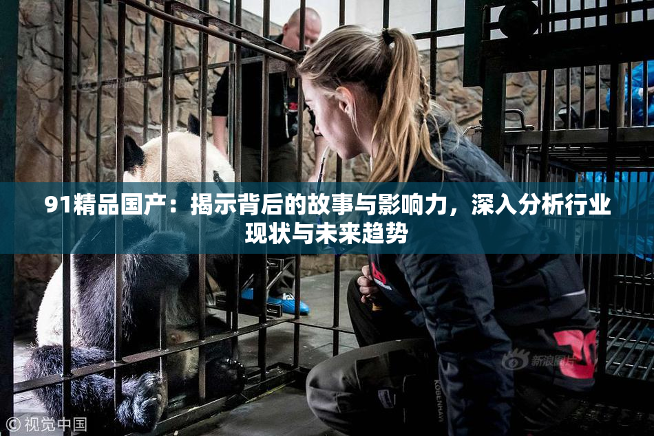 91精品国产：揭示背后的故事与影响力，深入分析行业现状与未来趋势